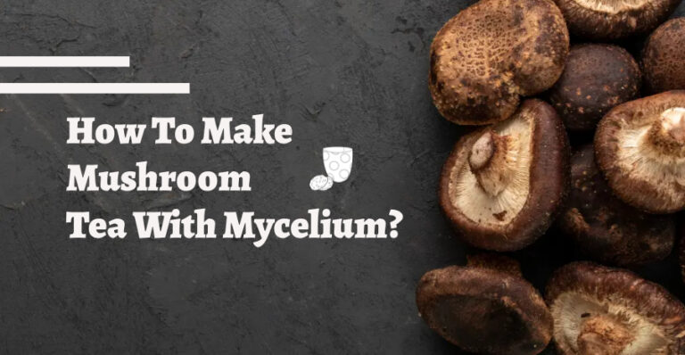 How to make mushroom tea with mycelium?