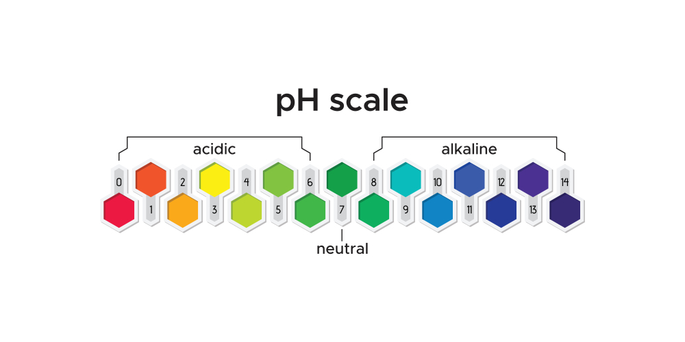 pH Scale